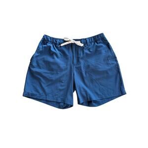 Chubbies The New‎ Avenues shorts